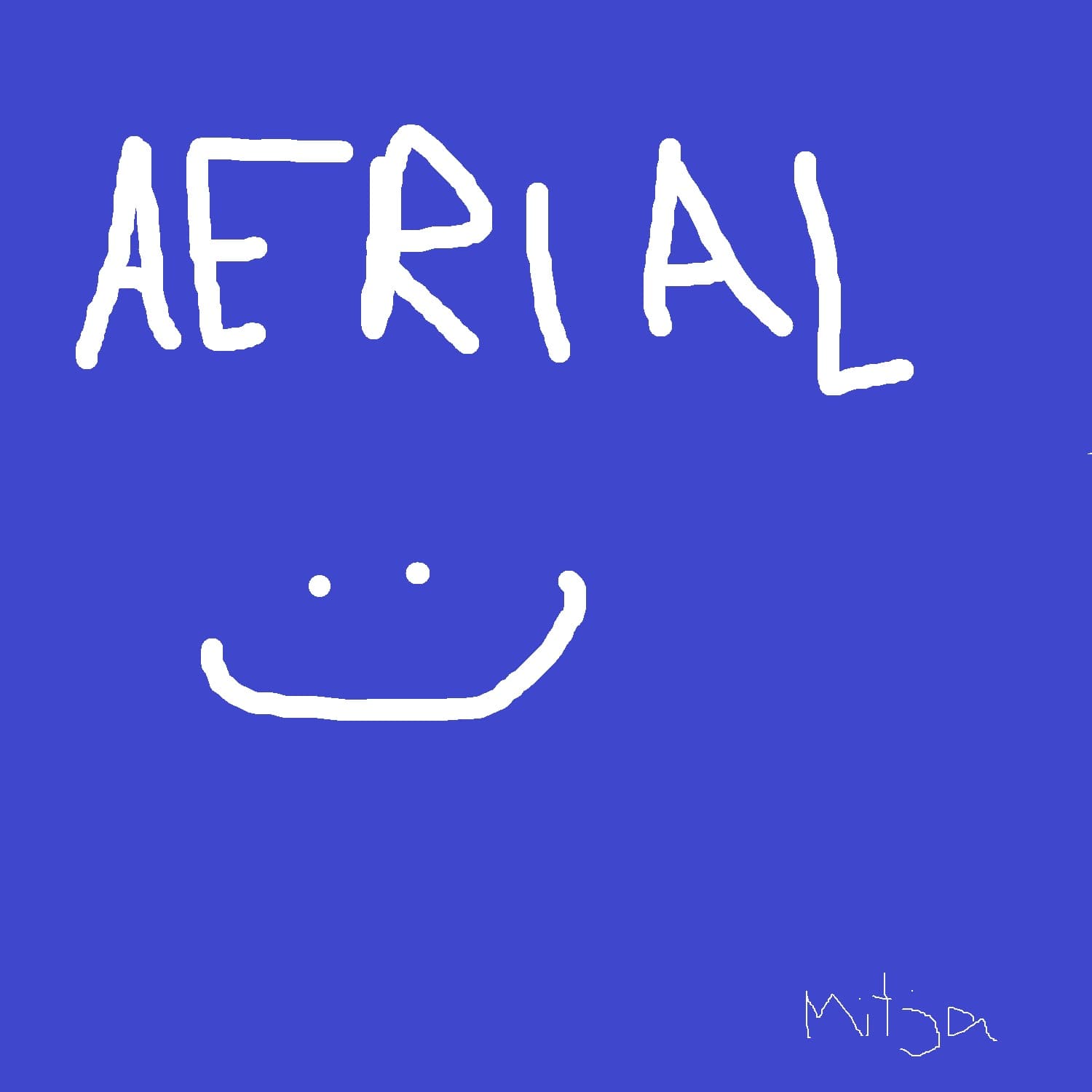 AERIAL